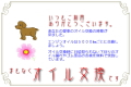 オイル交換